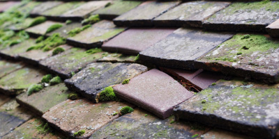 Summerhill roof repair costs